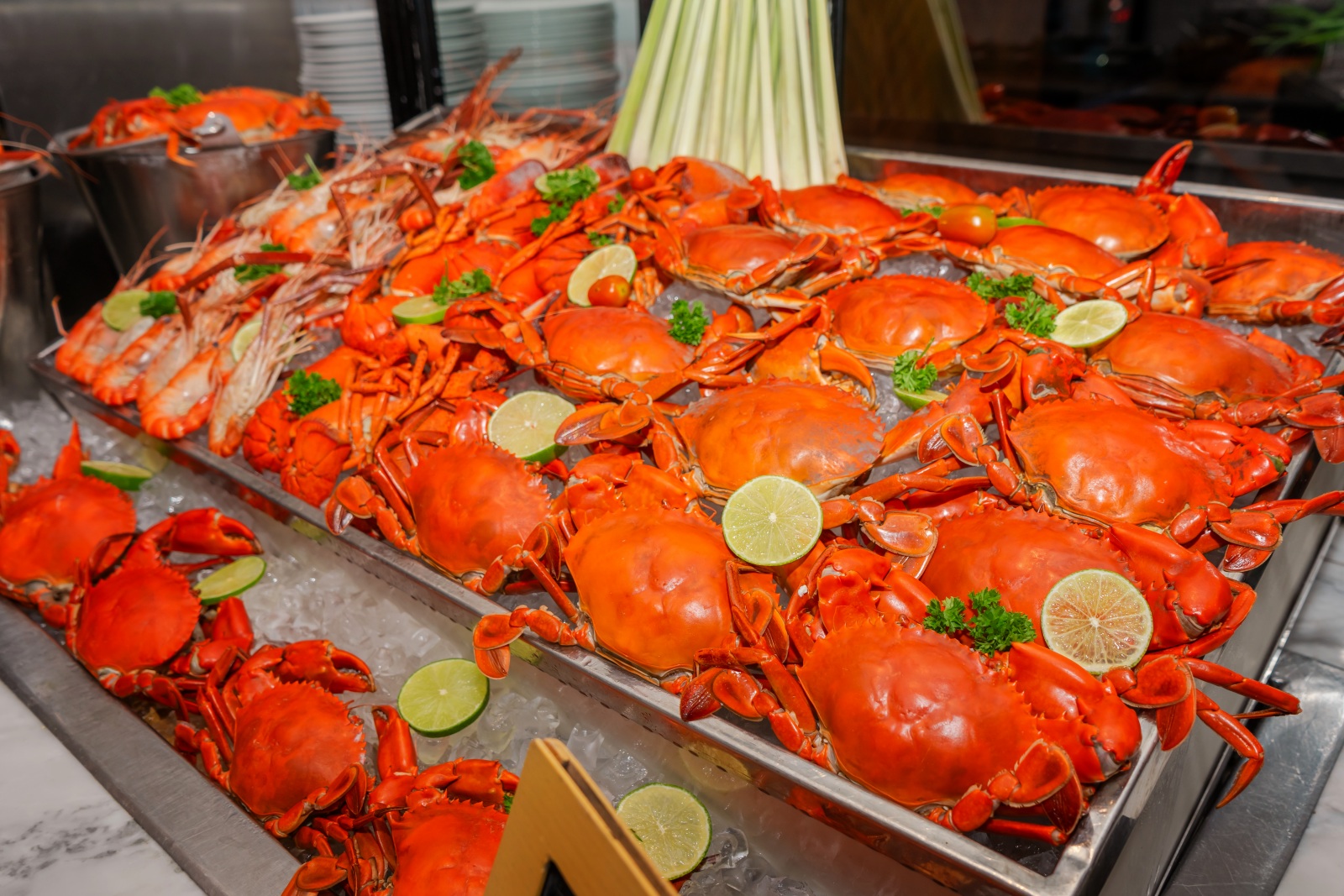 Renaissance Riverside Hotel Saigon, giáng sinh, nhà hàng giáng sinh, buffet giáng sinh, địa điểm tổ chức giáng sinh