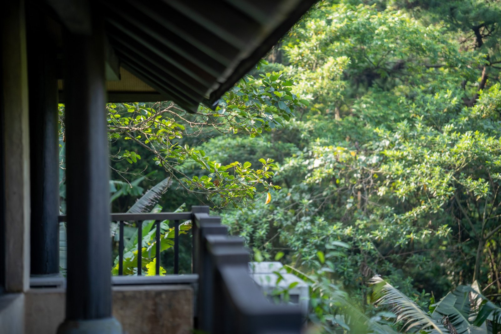 Meliá Ba Vì Mountain, Meliá Collection, khách sạn Meliá, khách sạn Ba Vì, nghỉ dưỡng ba vì, du lịch ba vì