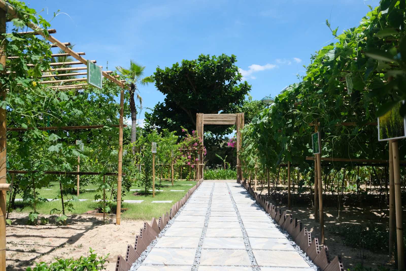 Danang Marriott Resort & Spa, Evergreen, vườn hữu cơ, khu nghỉ dưỡng đà nẵng, đà nẵng, du lịch đà nẵng