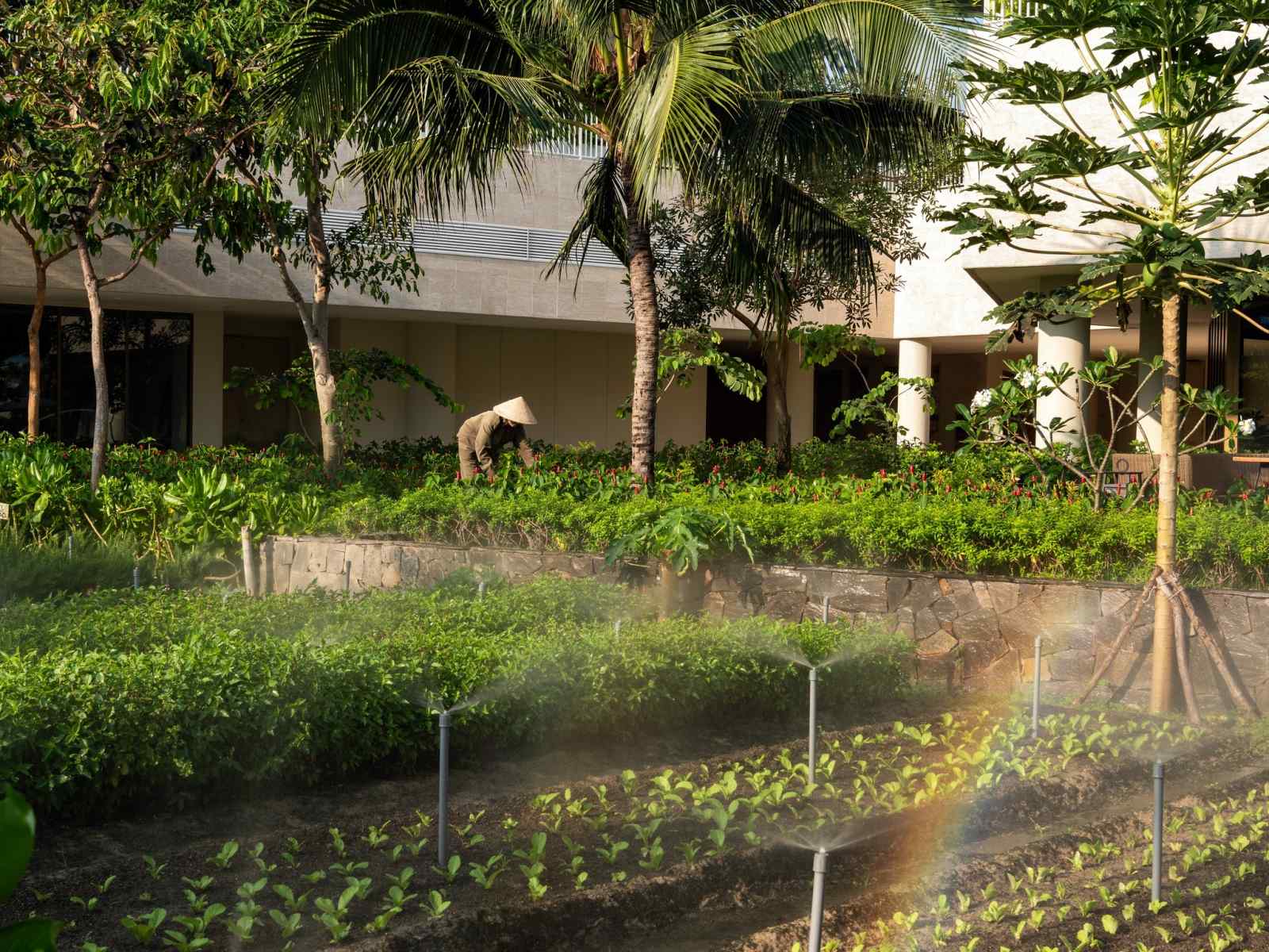 alma resort, khu nghỉ dưỡng biển, du lịch cam ranh, best beach resort, World’s Best Awards
