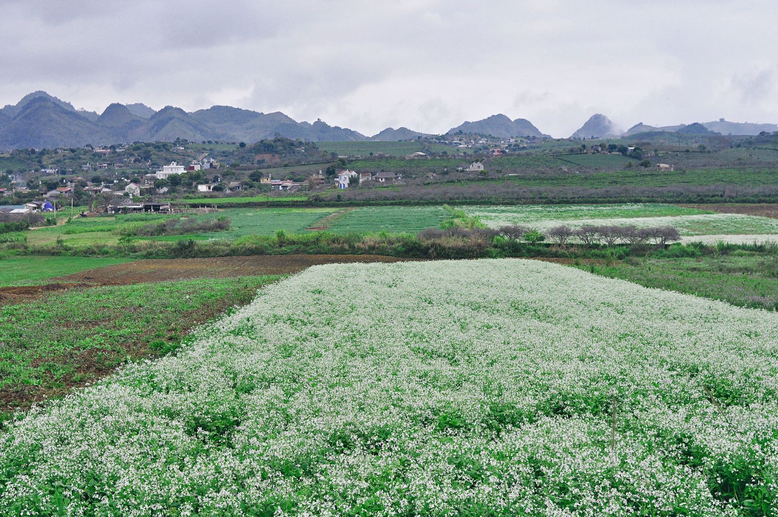 Tây Bắc, du lịch, trải nghiệm, khám phá