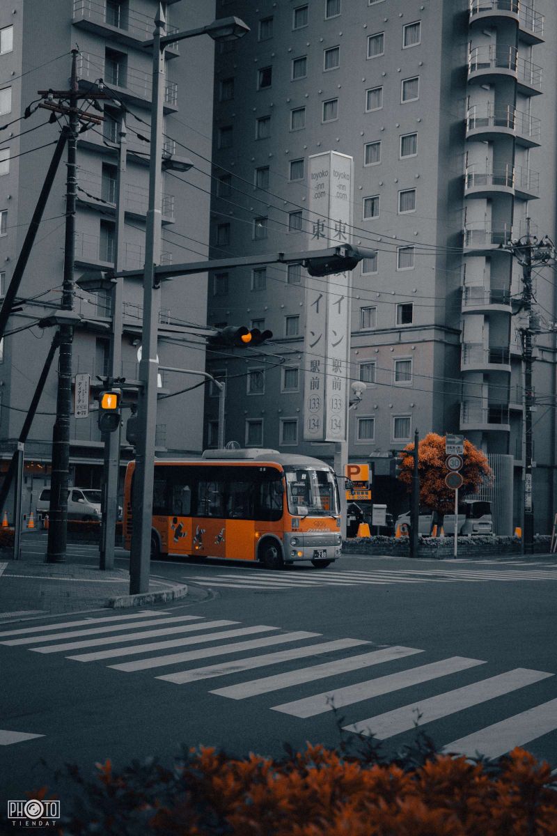 Inspiration Journey, Vũ Tiến Đạt, Nhật Bản 