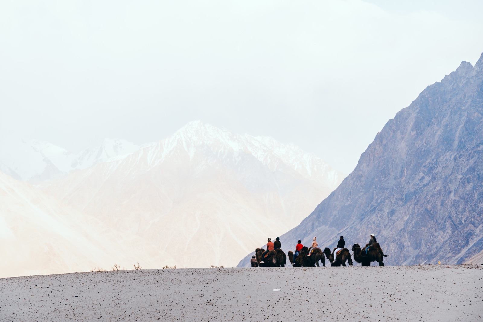 ladakh, ấn độ, himalaya