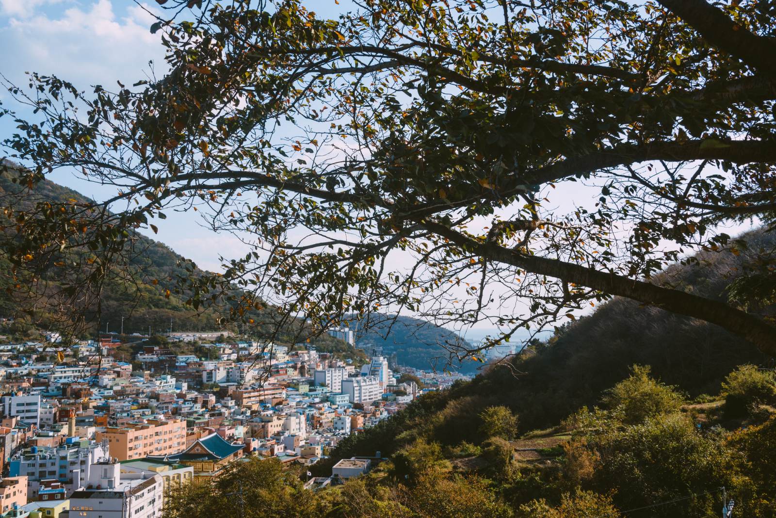 Busan, du lịch hàn quốc, du lịch busan, du lịch tự túc, kinh nghiệm du lịch tự túc