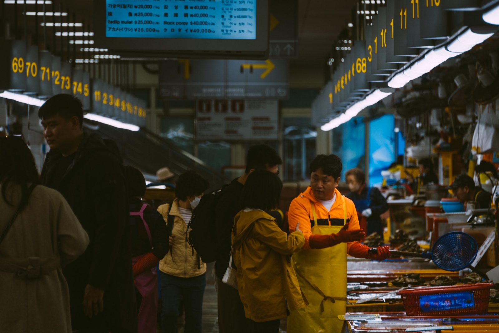 Busan, du lịch hàn quốc, du lịch busan, du lịch tự túc, kinh nghiệm du lịch tự túc