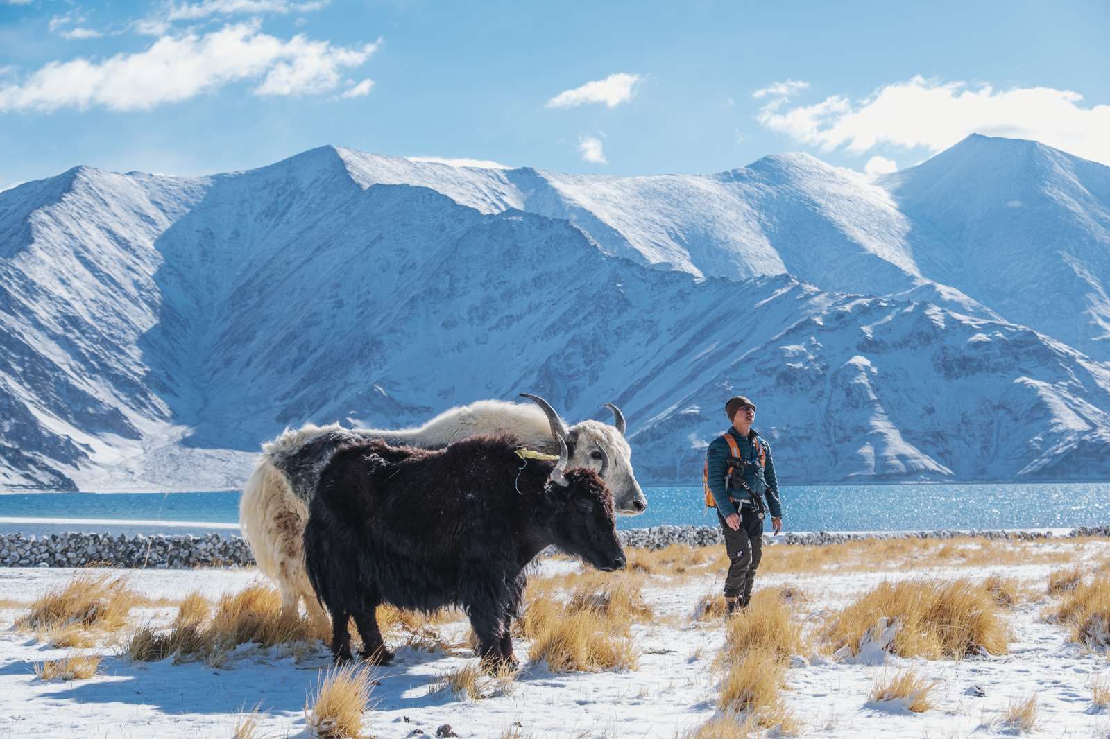 Hồ Pangong, Ladakh, khám phá Ladakh, Ấn Độ