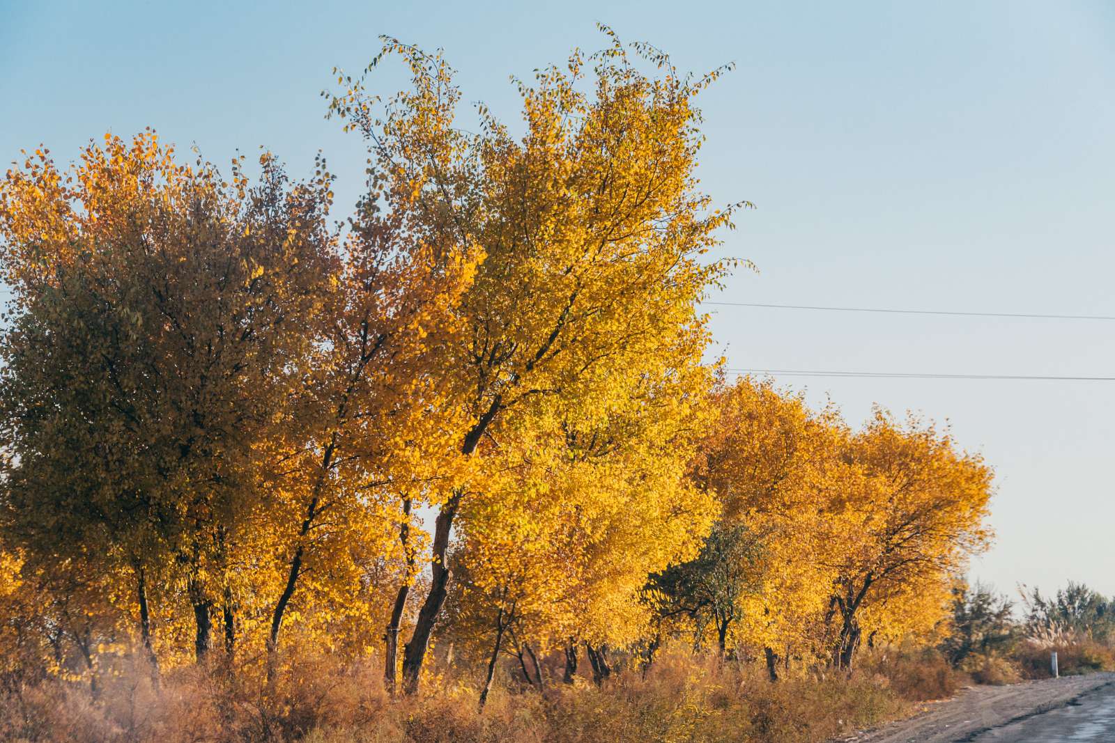 pháo đài Khorezm, Uzbekistan, khám phá Uzbekistan, sông Amu Darya, sa mạc Kyzylkum