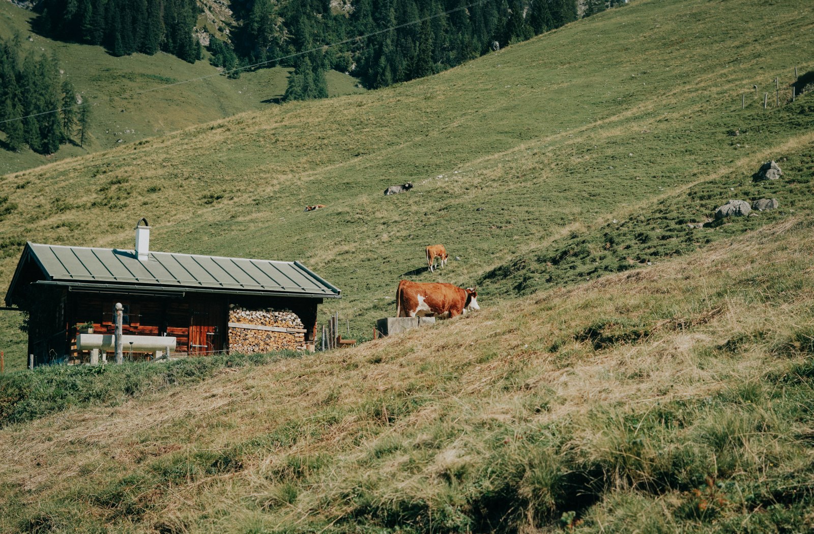 Königssee, hồ Königssee, du lịch Đức, Bayern, trải nghiệm du lịch Đức, kinh nghiệm du lịch