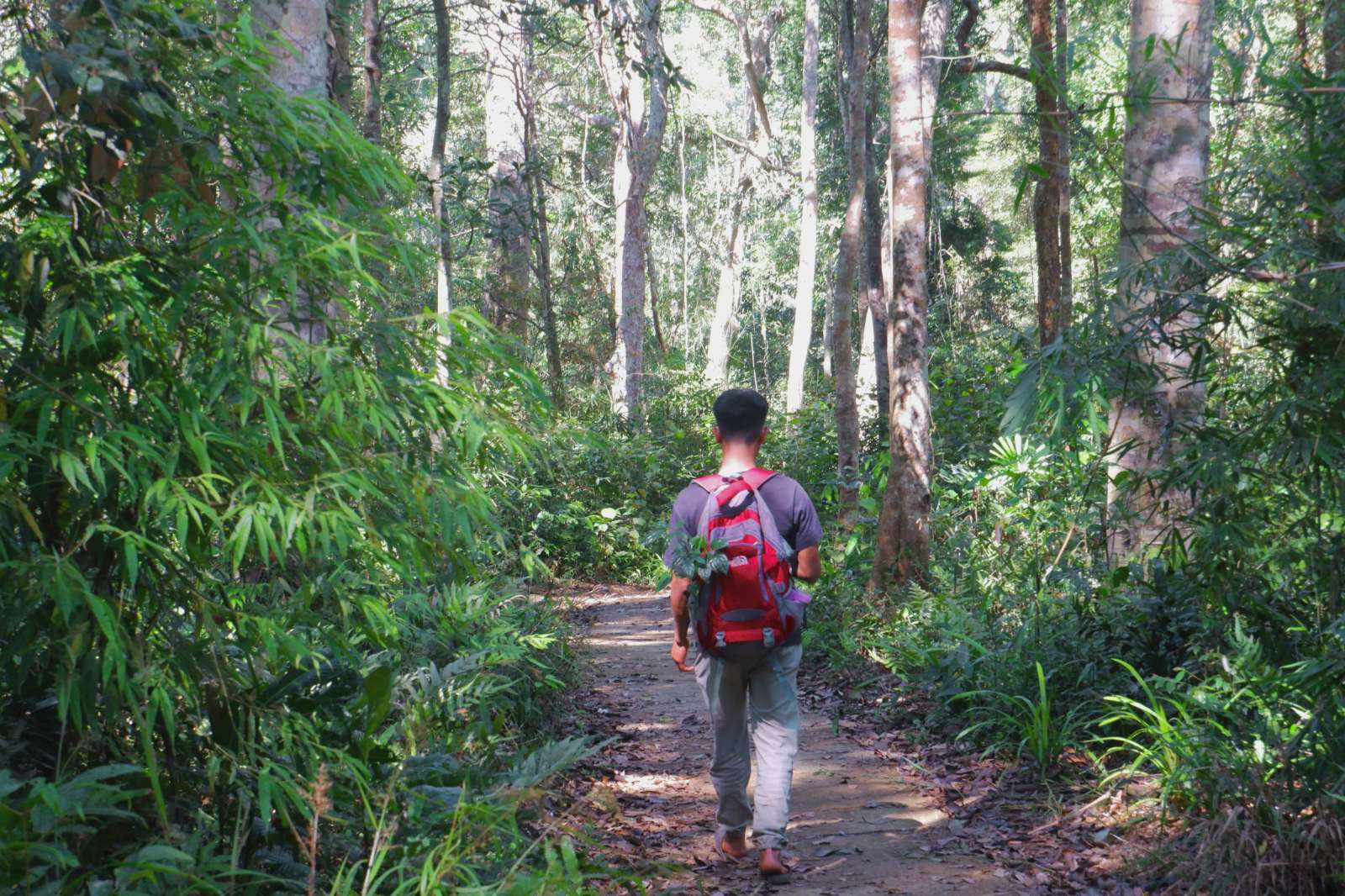 Thác K50, trekking Kon Chư Răng, Kon Chư Răng, du lịch Gia Lai, du lịch trải nghiệm