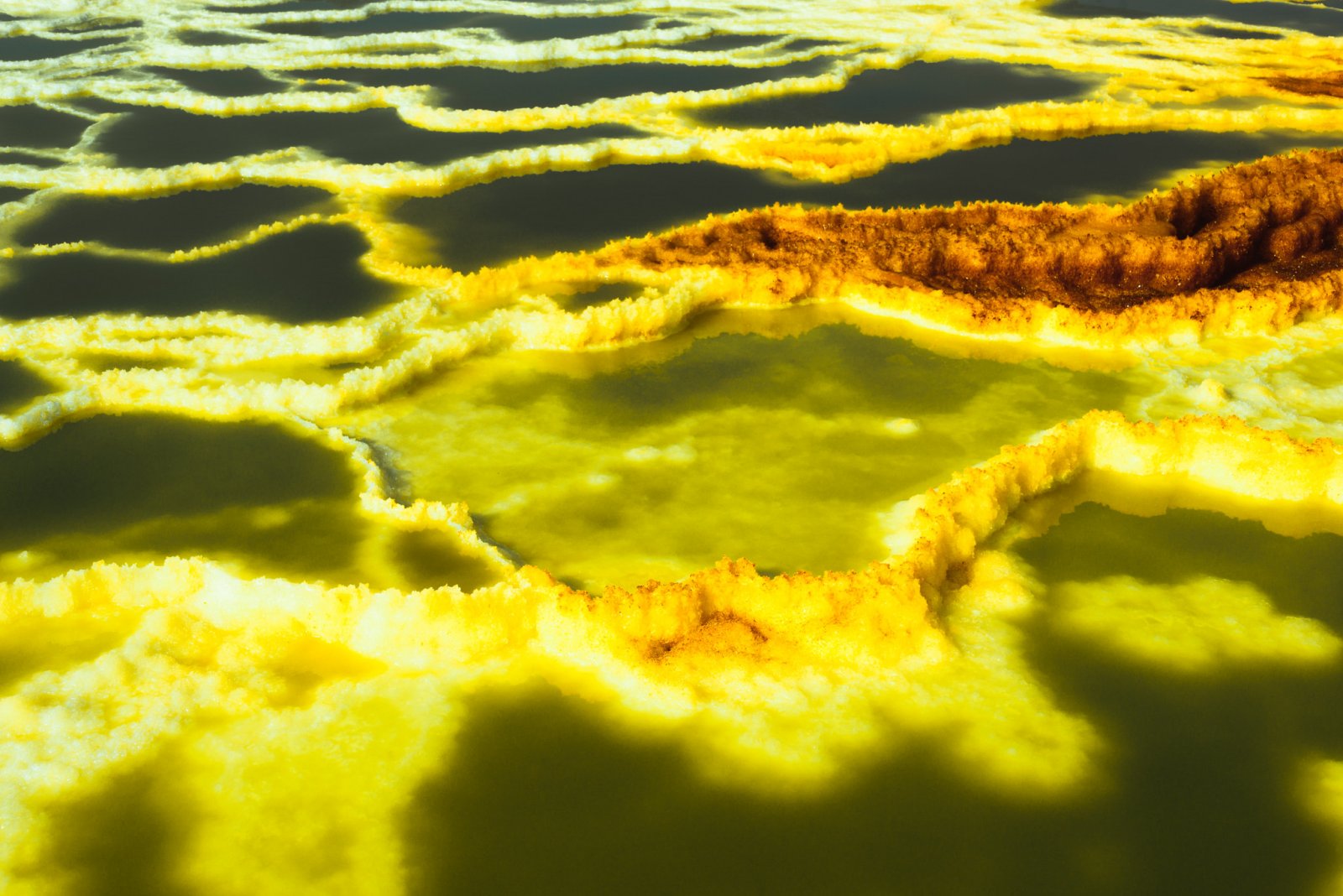 Dallol, Ethiopia, Erta Ale, Danakil, du lịch châu phi, khám phá Ethiopia, trải nghiệm du lịch