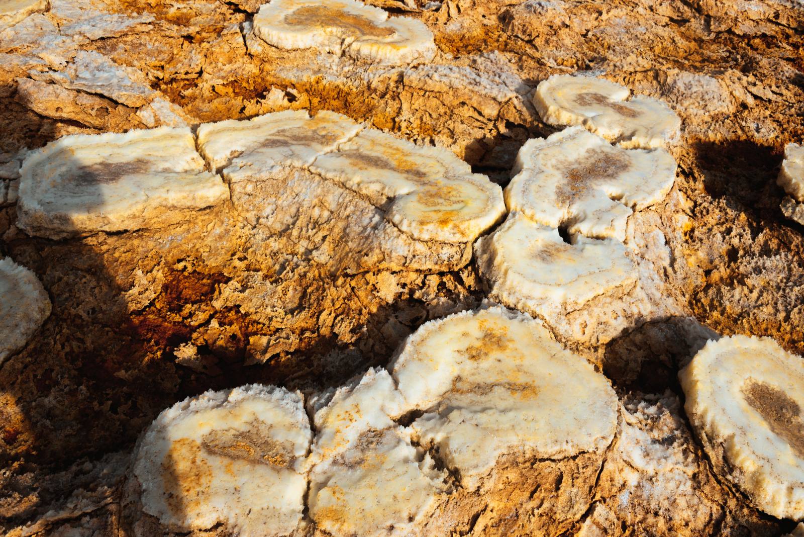 Dallol, Ethiopia, Erta Ale, Danakil, du lịch châu phi, khám phá Ethiopia, trải nghiệm du lịch