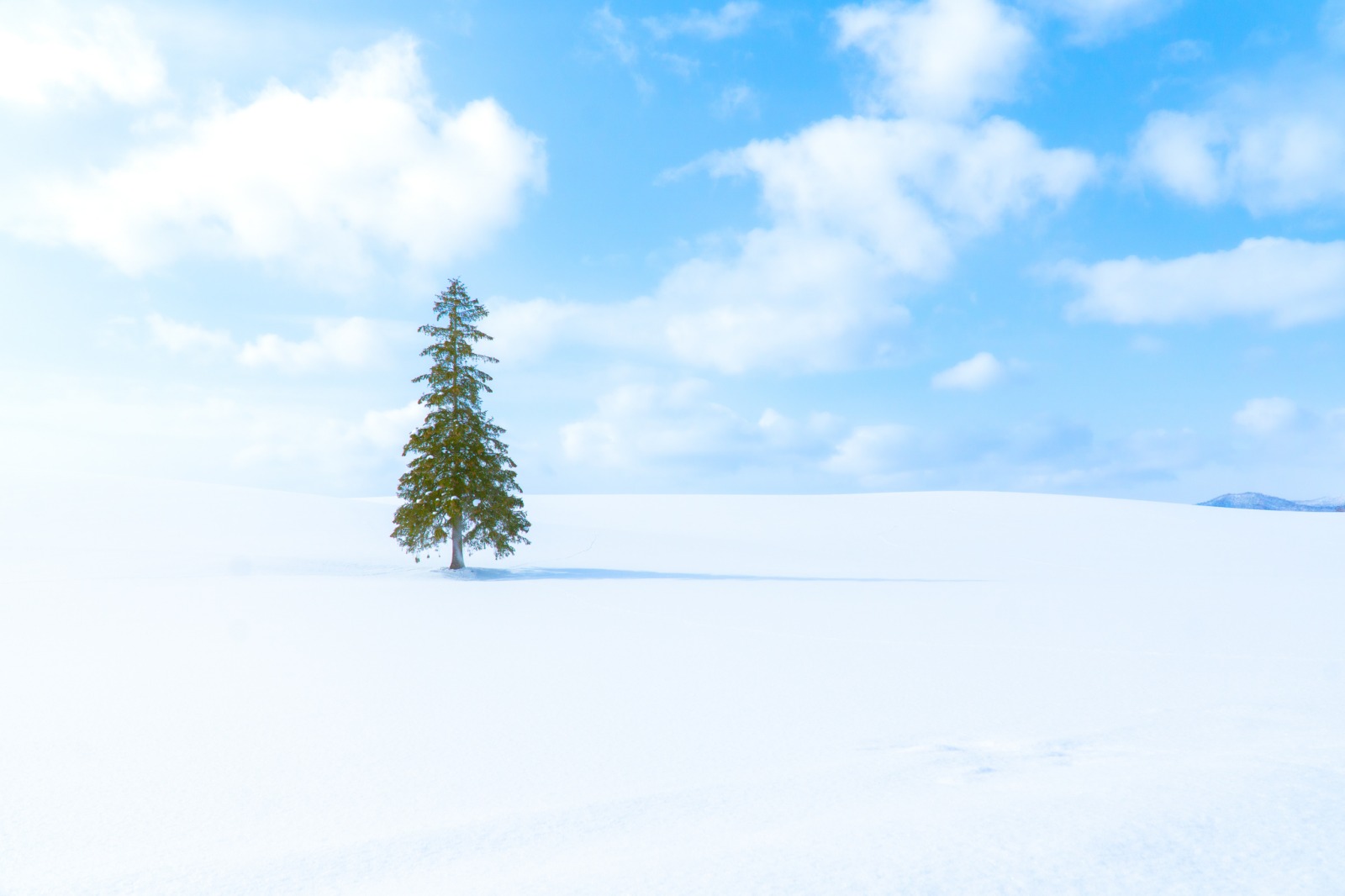 du lịch nhật bản, khám phá Hokkaido, kinh nghiệm du lịch, gợi ý hành trình, gợi ý điểm đến