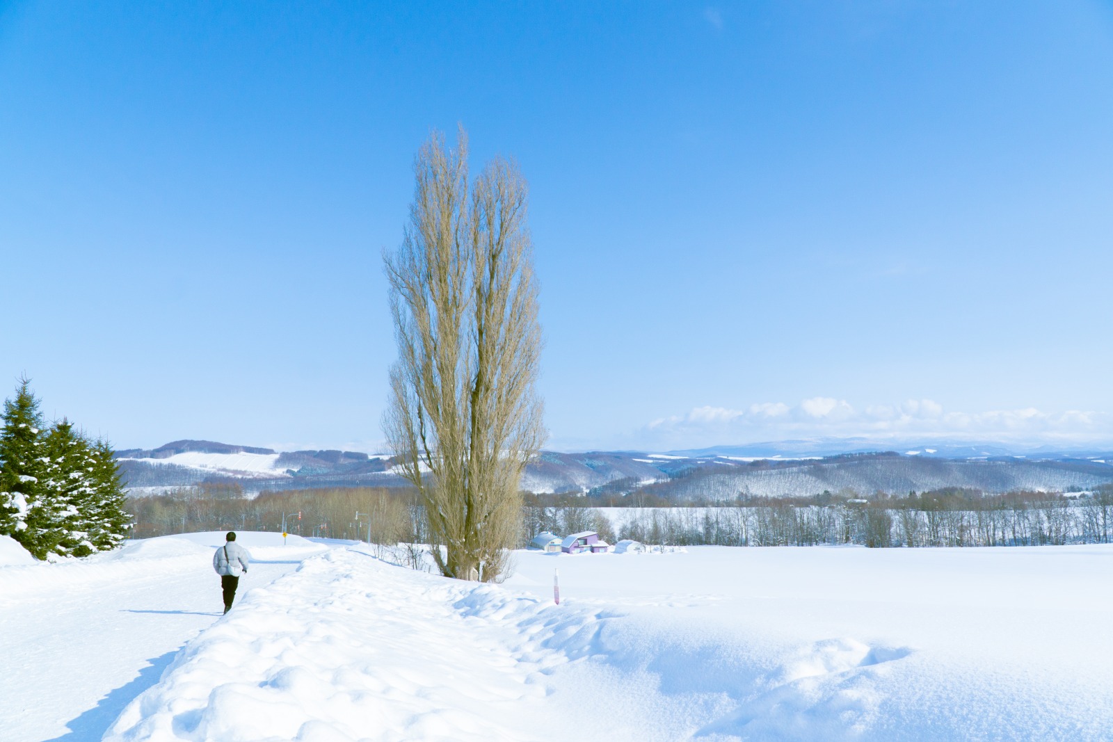 du lịch nhật bản, khám phá Hokkaido, kinh nghiệm du lịch, gợi ý hành trình, gợi ý điểm đến