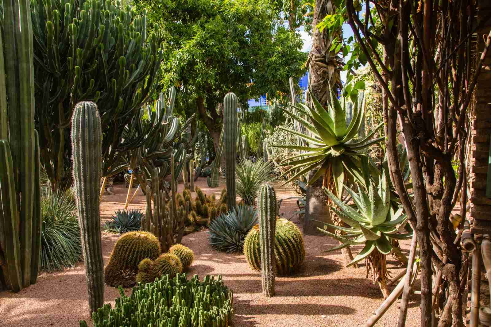 Ma-rốc, du lịch ma rốc, Morocco, địa điểm du lịch, trip to Morocco
