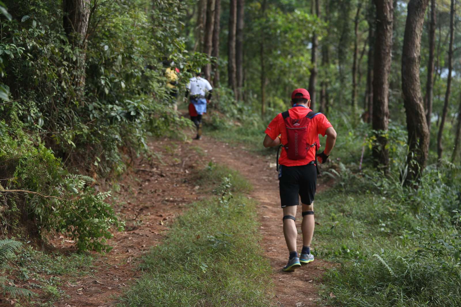 Hà Nội Ultra Trail, chạy bộ, chạy đường mòn, Sóc Sơn