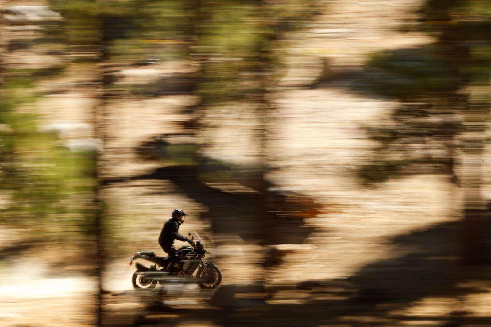 Harley-Davidson, Pan America 2021, Moto