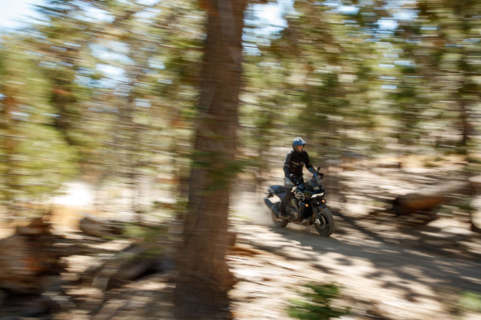 Harley-Davidson, Pan America 2021, Moto