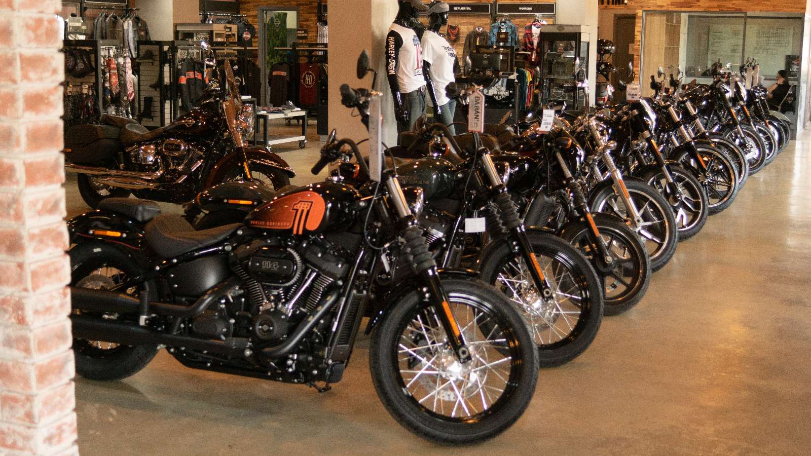 Harley-Davidson® , Street Bob® 114, Low Rider S, Softail Standard, Fat Boy 114
