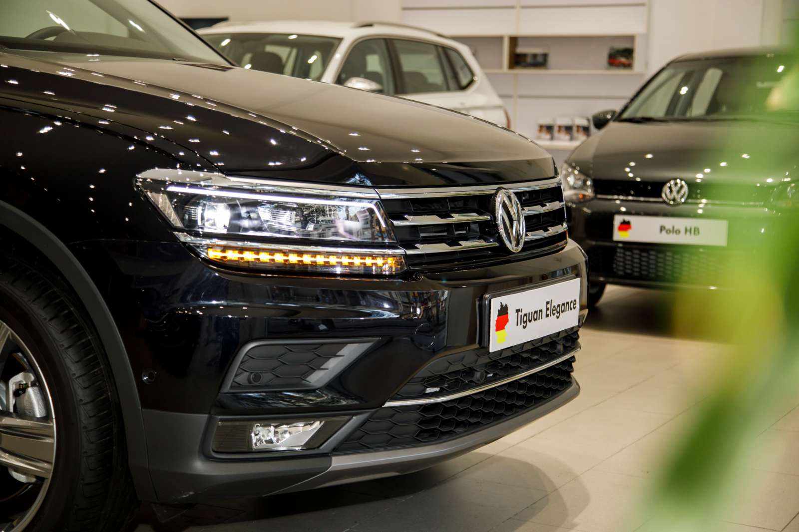 Volkswagen Việt Nam, Tiguan Elegance, Volkswagen Cares