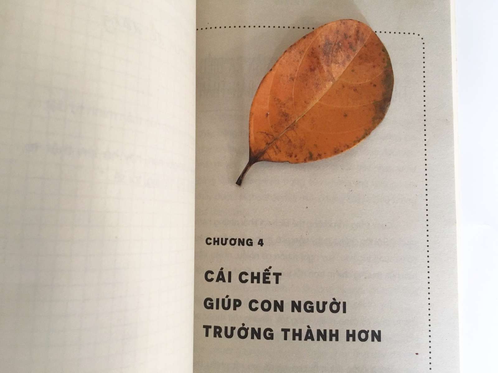 Rồi một ngày cuộc sống hoá hư vô, sách