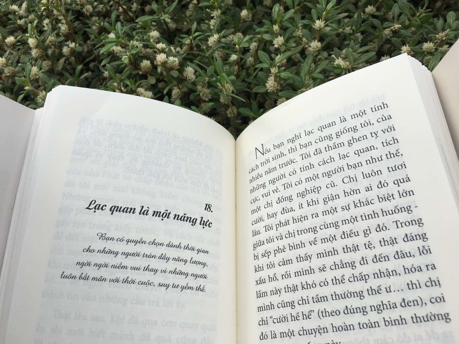 Sống như bạn đang ở sân bay, Cúc T