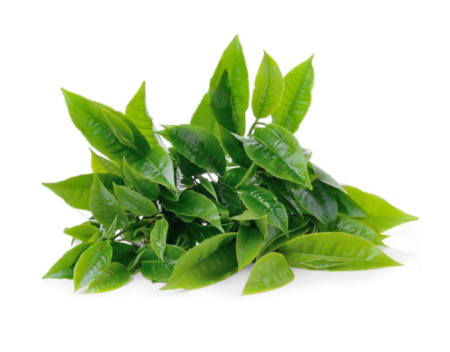 Beauty, chăm sóc bản thân, chăm sóc da