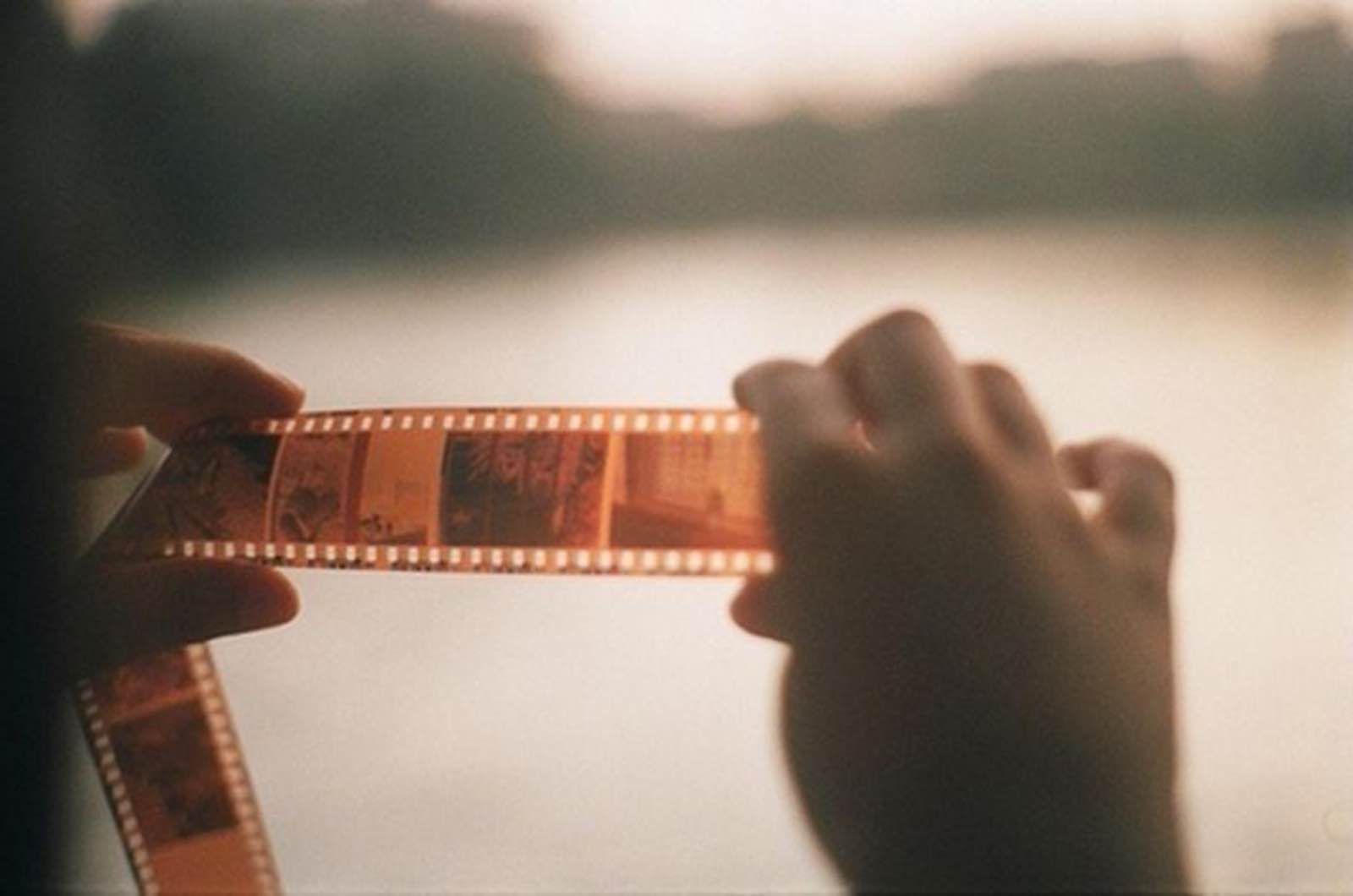 ảnh film, film photography, máy film