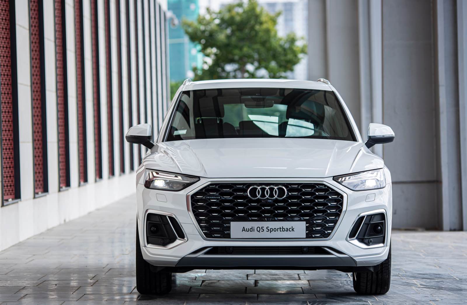 audi, audi Q5 sportback, audi Q5 sportback 2021, audi Q5, audi Q, xe CUV