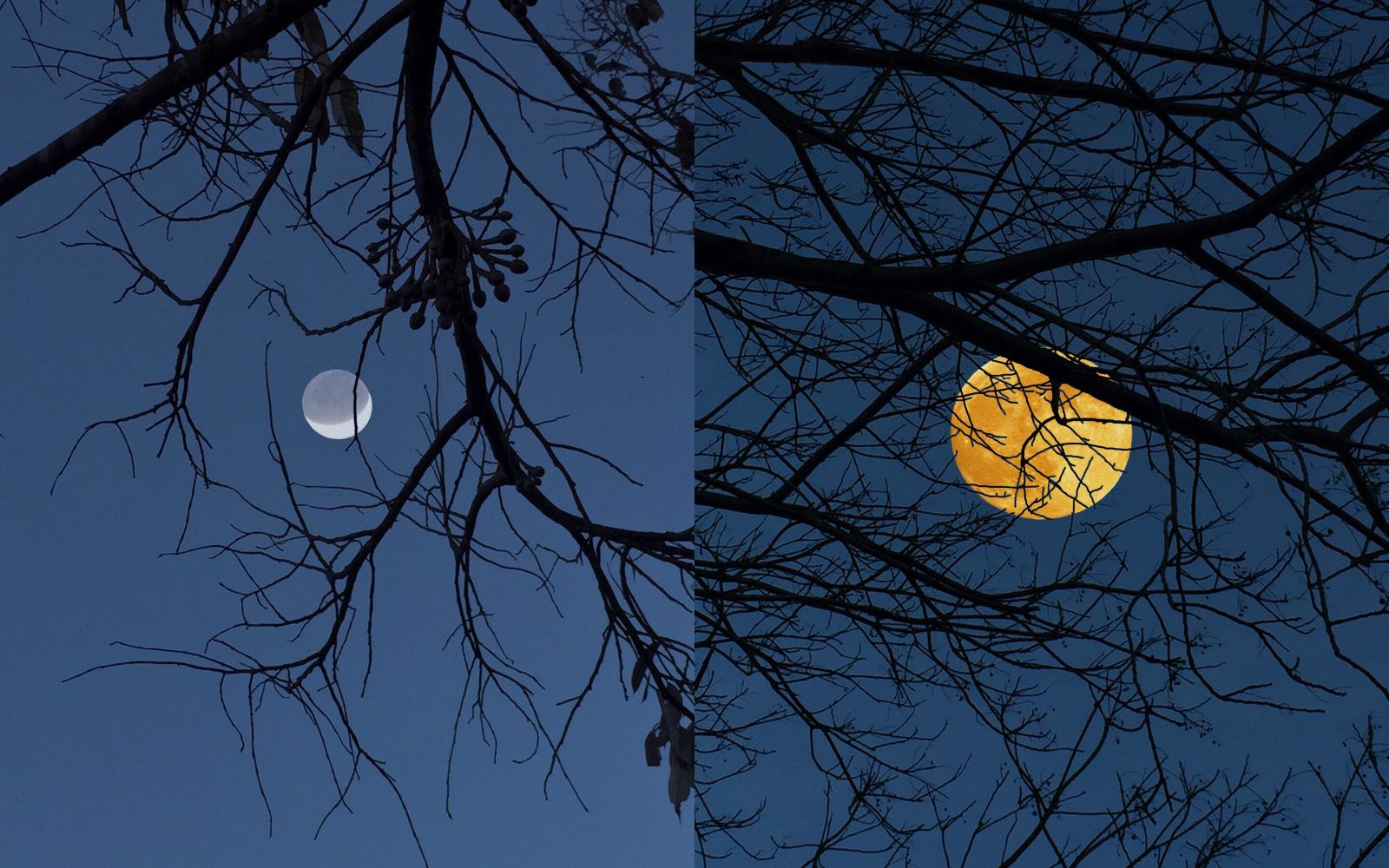 das, tay ngang das, nhiếp ảnh, minimalist photography, tối giản trong nhiếp ảnh