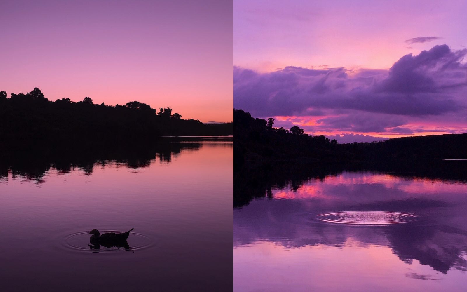 das, tay ngang das, nhiếp ảnh, minimalist photography, tối giản trong nhiếp ảnh