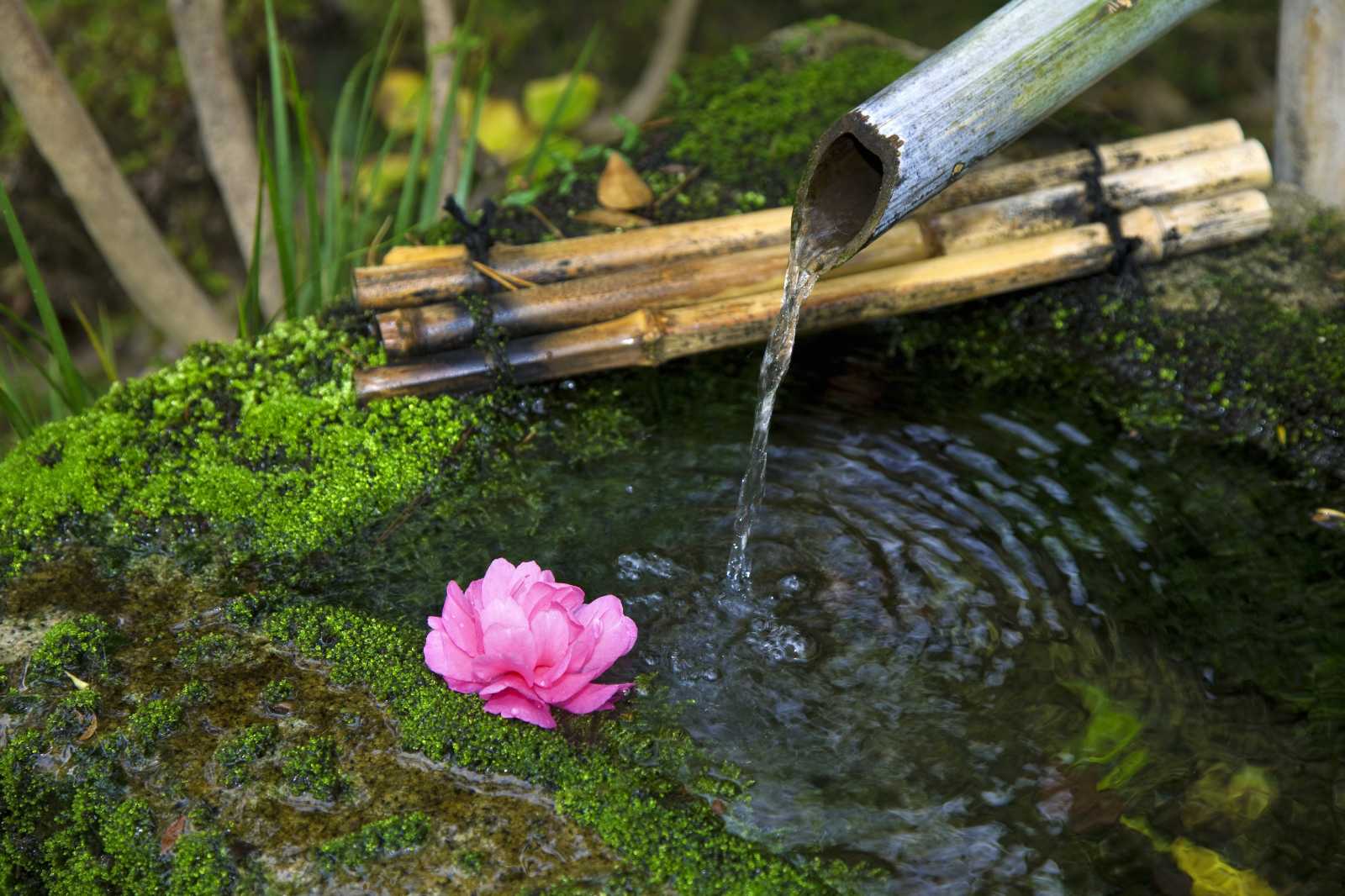 wabi sabi, phong cách wabi sabi, nhật bản 