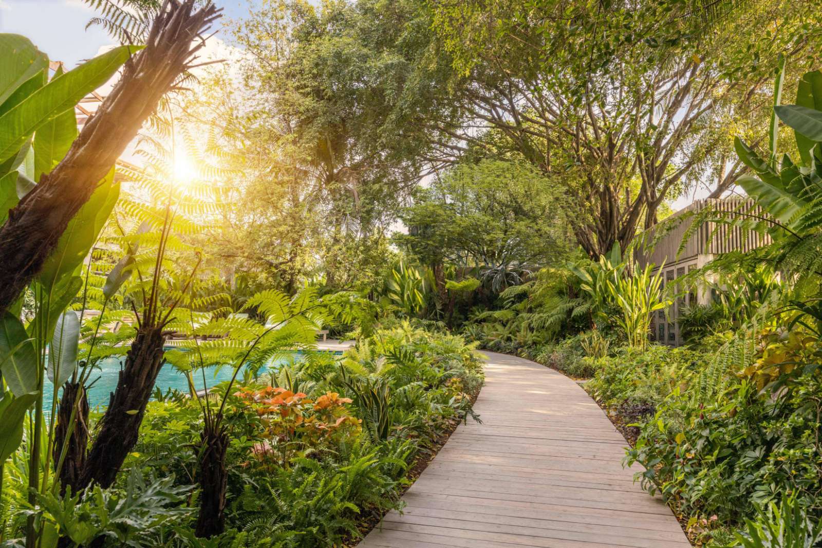 An Lâm Retreats, An Lâm Retreats Saigon River, An Lâm Retreats Ninh Vân Bay, khu nghỉ dưỡng cao cấp, du lịch chữa lành
