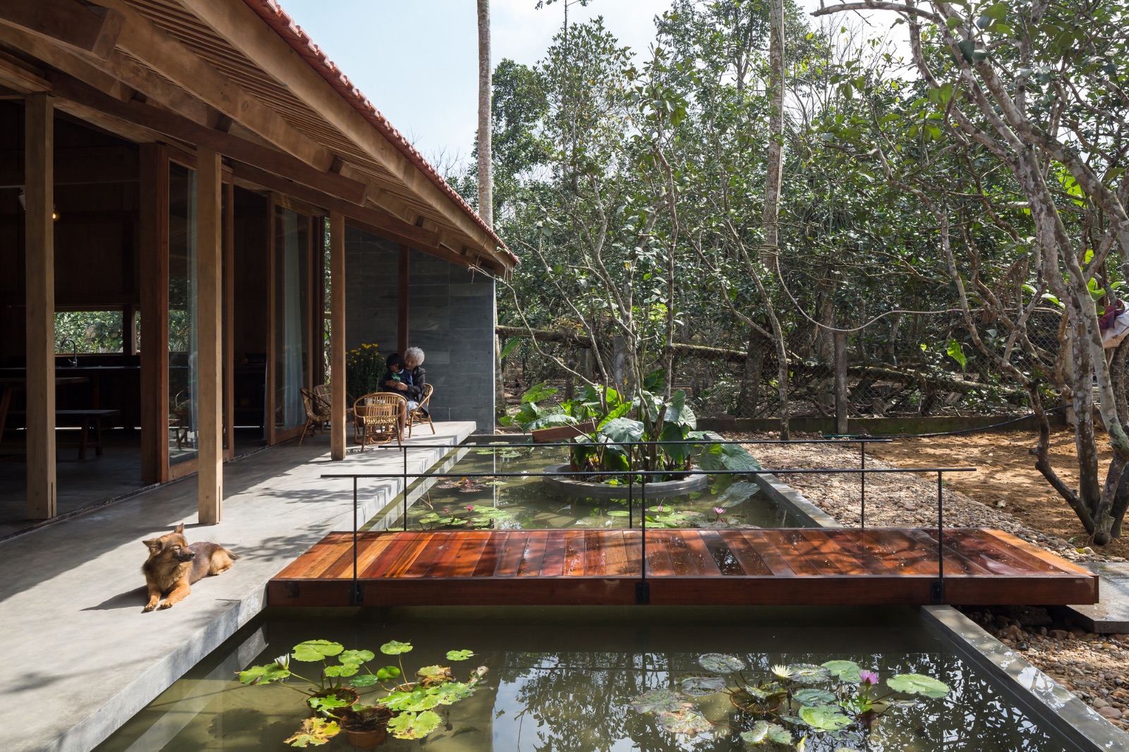 hachi lily house, hachi lily, huế, nhà gỗ 