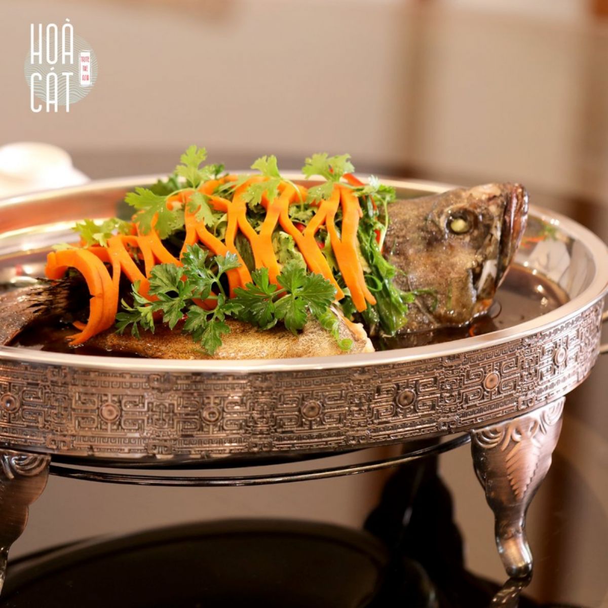Vừa qua, nhà hàng Hòa Cát đã chính thức khai trương chào đón các tín đồ của ẩm thực Á Đông tại khu đô thị Sala.