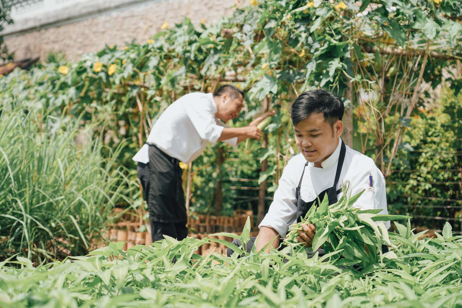 JW Marriott Phú Quốc JW Garden