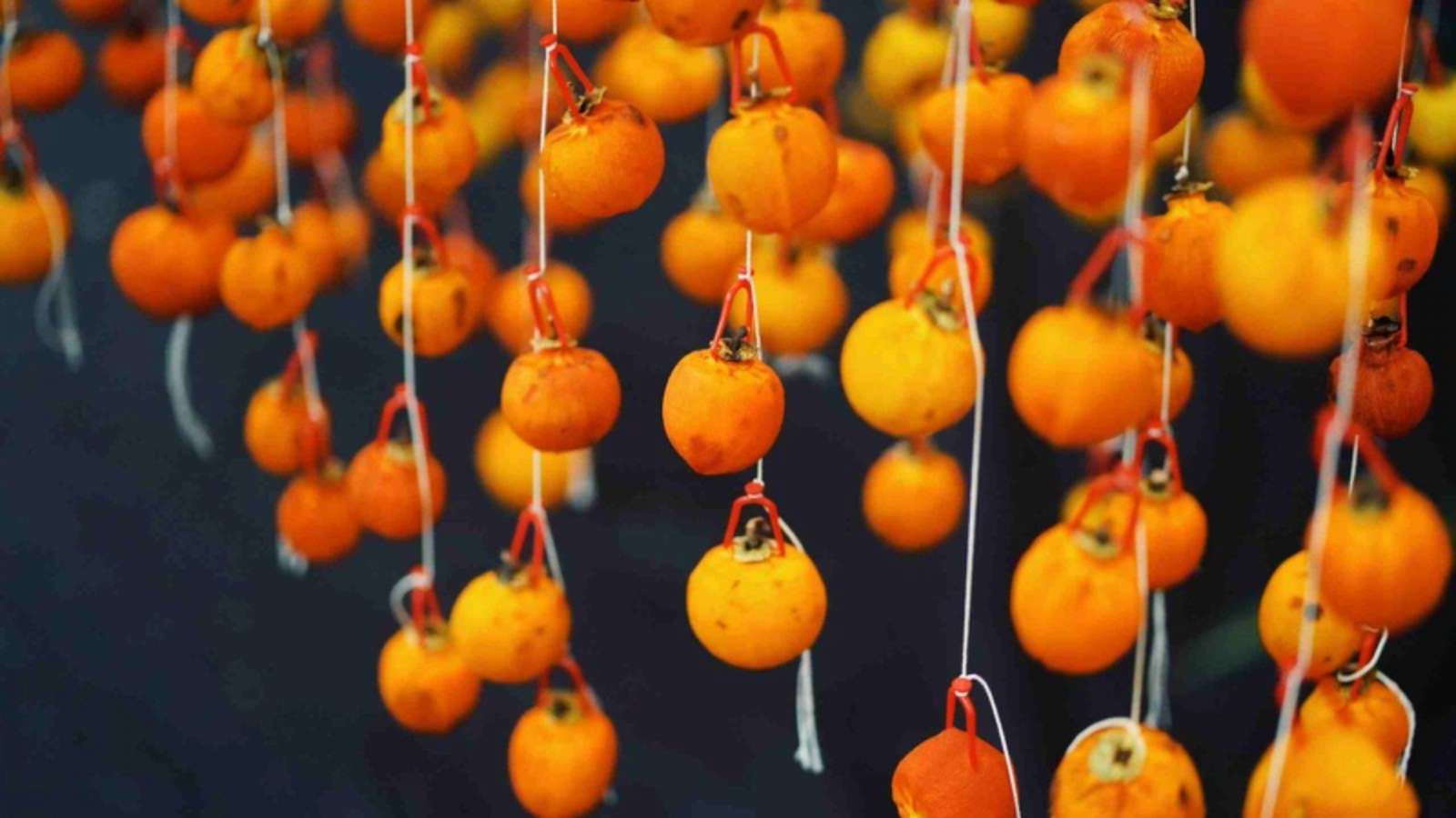 Hương vị của những món ăn mùa thu Nhật Bản
