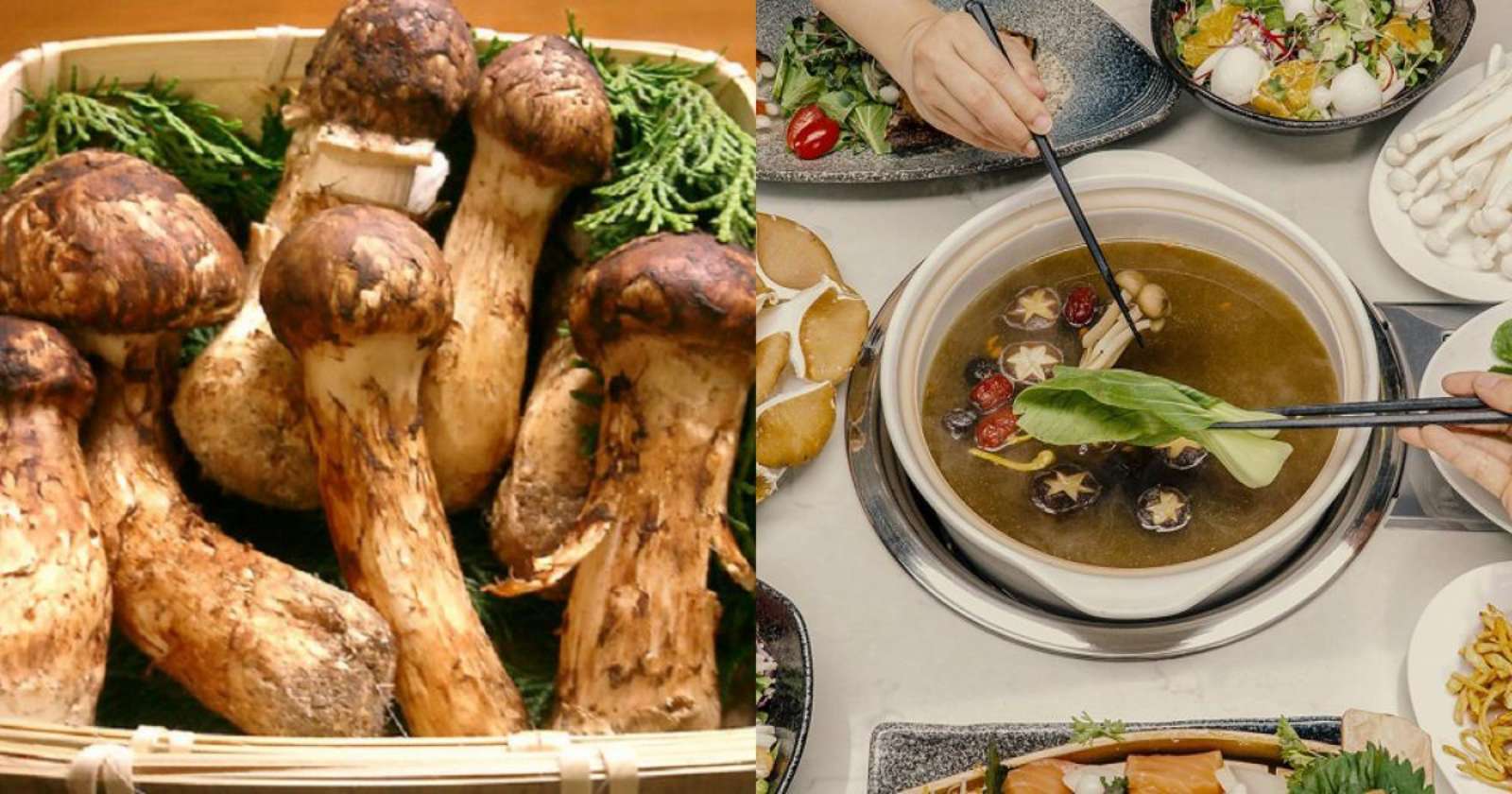 Hương vị của những món ăn mùa thu Nhật Bản