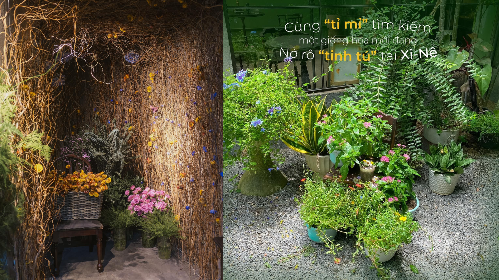 Nhà hàng bistro, ăn gì tại Đà Nẵng, Khám phá ẩm thực, Phong cách sống