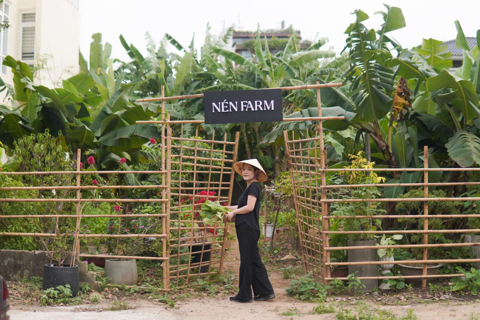 ẩm thực bền vững, Summer Lê, Green Star Michelin, Nén Light, Nén Danang, Nén Tokyo