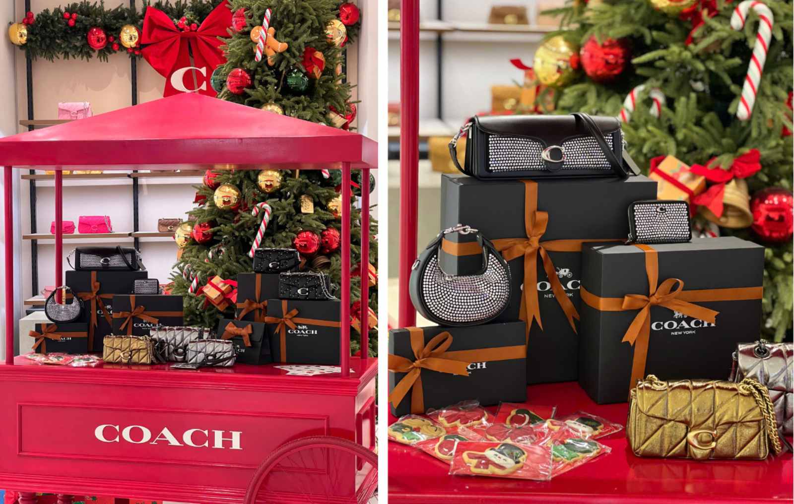 Coach, cửa hàng Coach Việt Nam, Coach Saigon Centre, Coach Lotte Mall Tây Hồ, chương trình cuối năm, mùa lễ hội, túi xách Coach