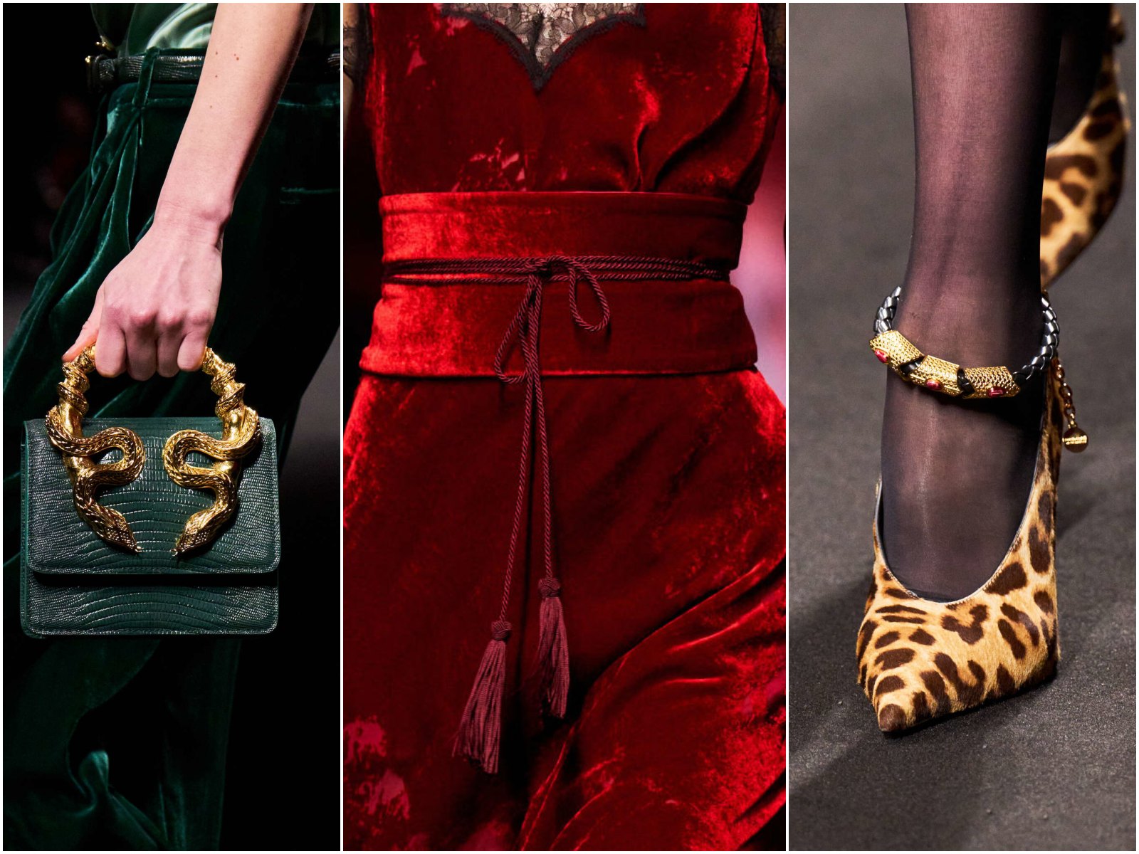 Milan Fashion Week 2025, fall winter collection, xu hướng thời trang, thời trang thu đông, Roberto Cavalli
