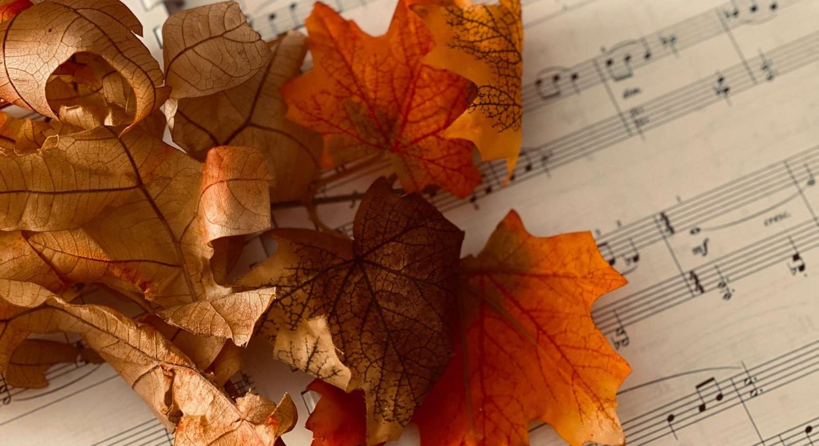“Autumn Leaves”, “Les Feuilles Mortes”, Jacques Prevert, Joseph Kosma, ca khúc bất hủ, jazz standard