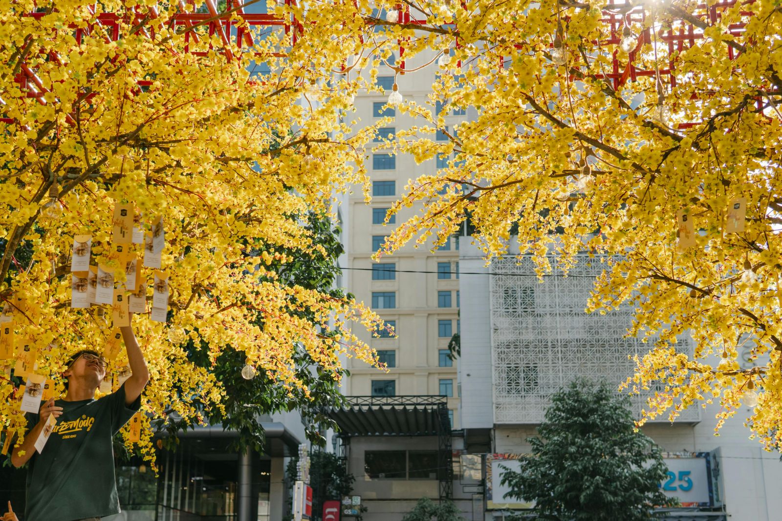 Nhac Tet Viet Nam