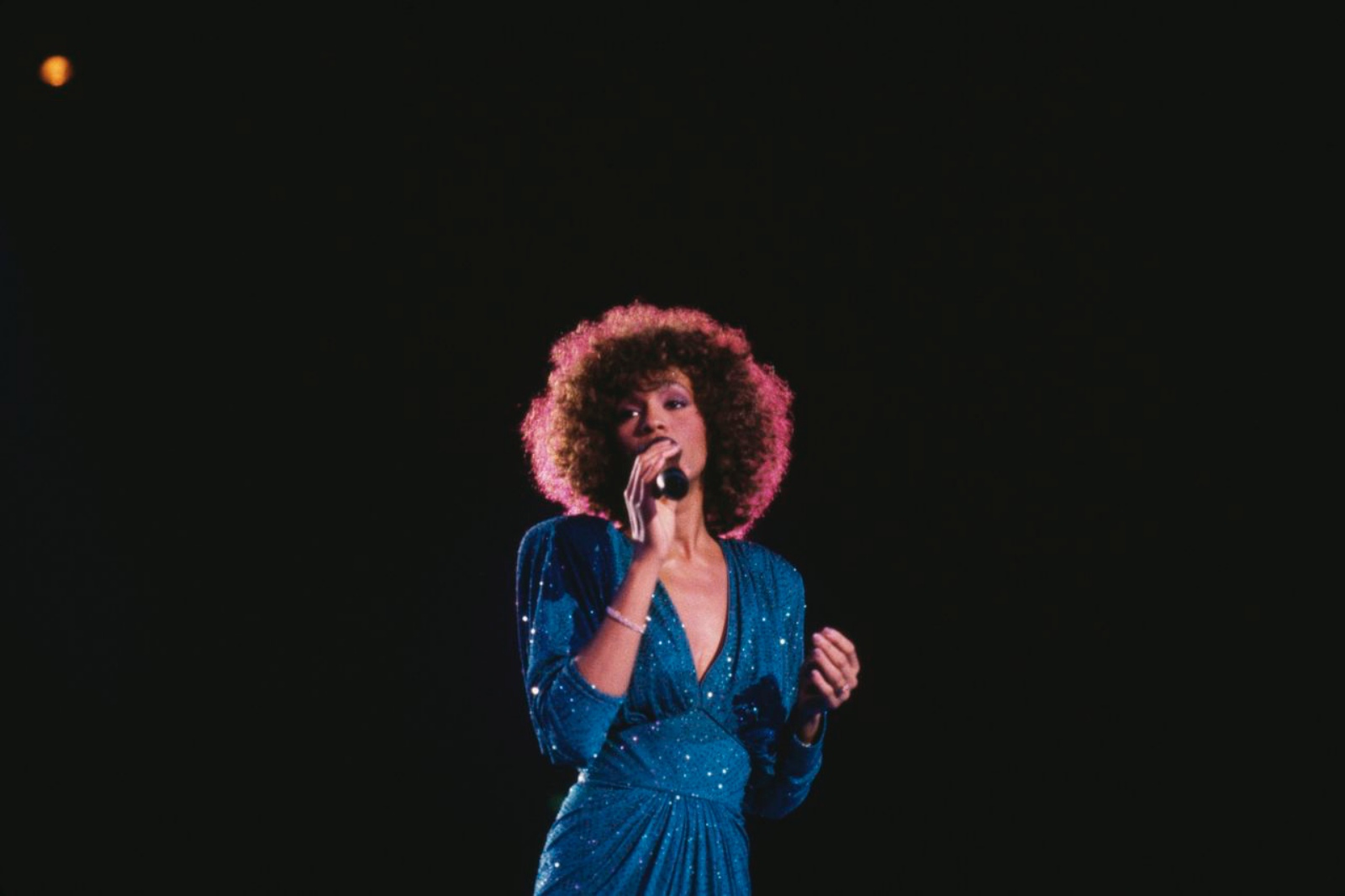 whitney-houston-wwk
