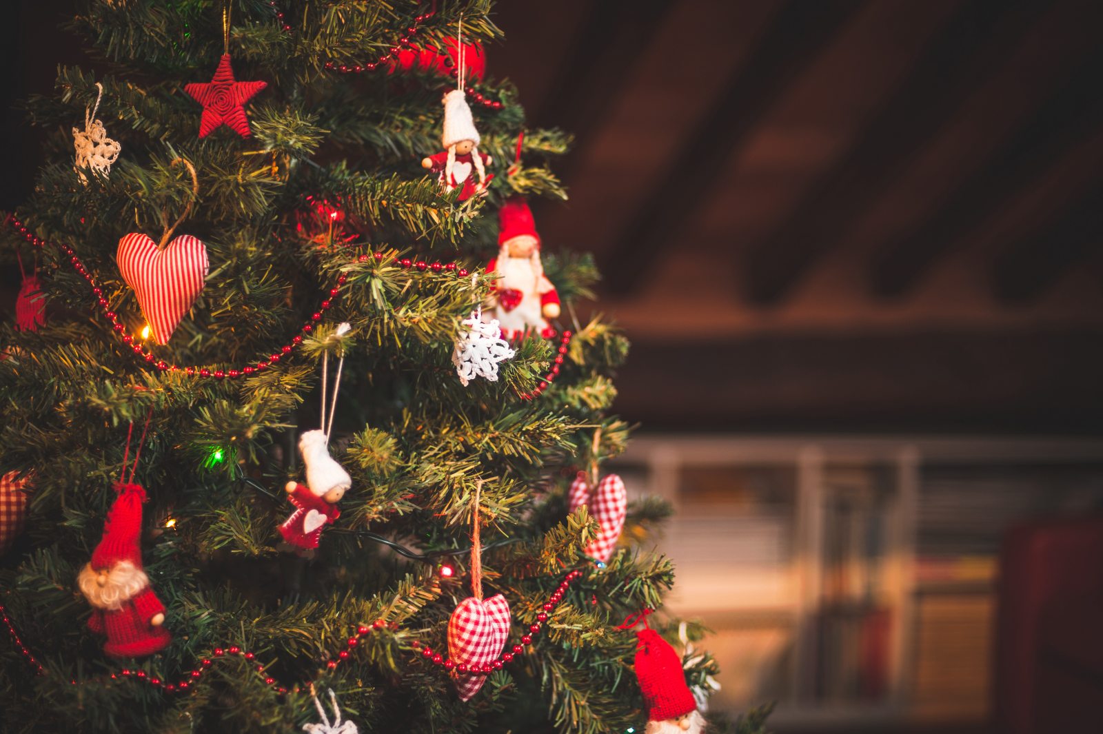 christmas-tree-cay-thong-noel-cau-chuyen-bieu-tuong-wwk