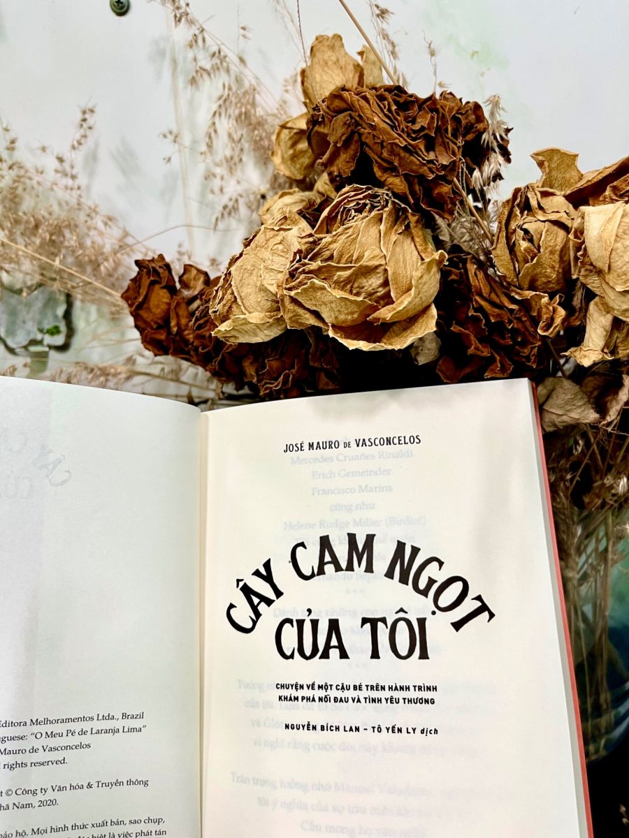 cây cam ngọt của tôi, zeze, cây cam ngọt 