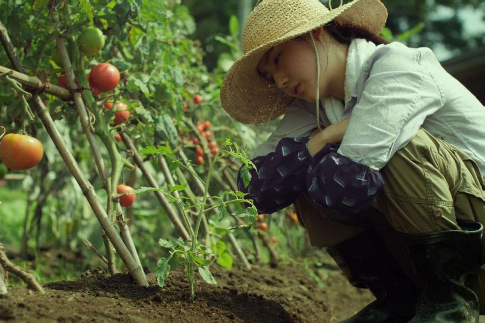 Little Forest, phim chữa lành, review phim, phim lẻ hay