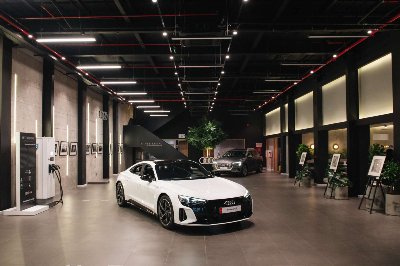 Audi Charging Lounge, Audi Vietnam, Silver Lining, The Grapevine Selection, triển lãm ảnh