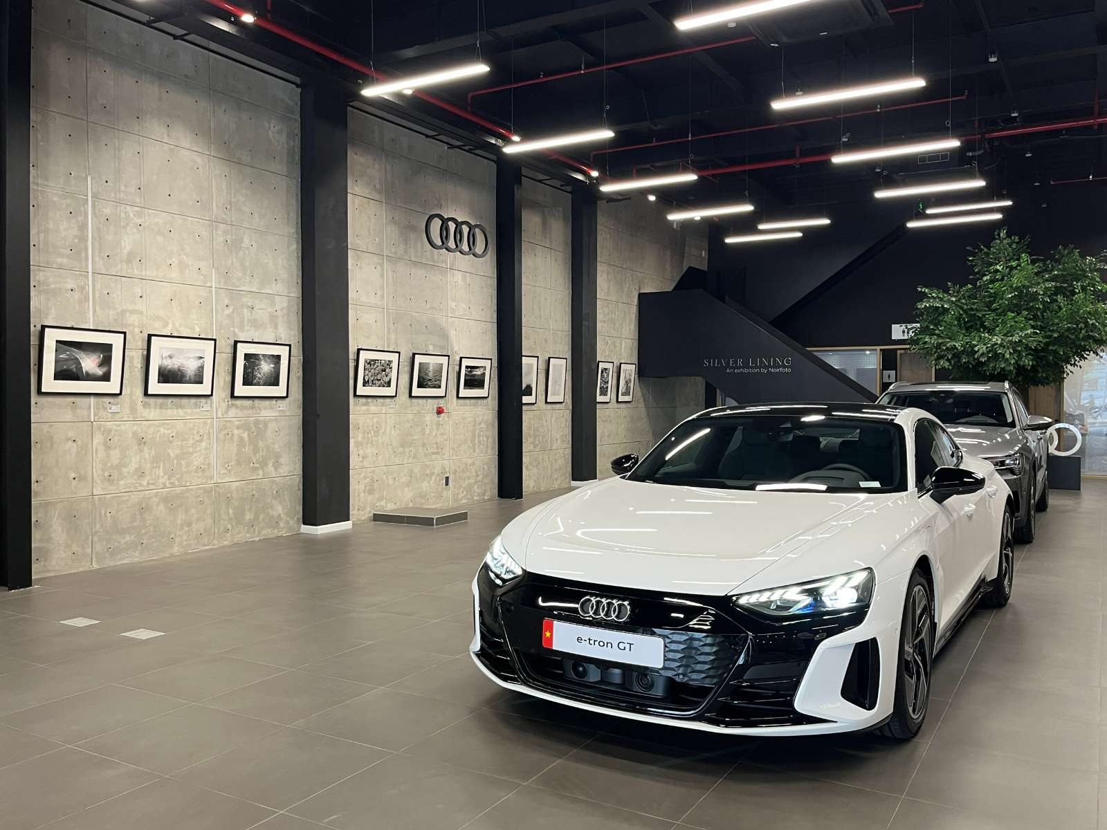 Audi Charging Lounge, Audi Vietnam, Silver Lining, The Grapevine Selection, triển lãm ảnh