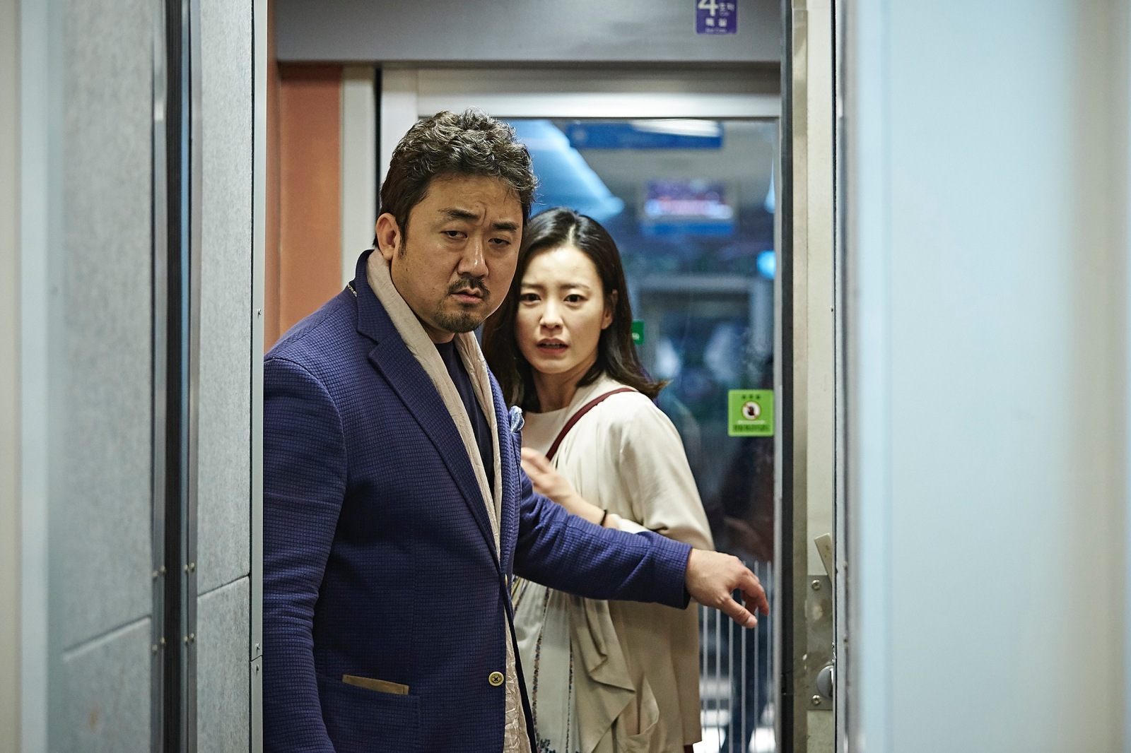 phim netflix hay, phim hành động, phim cuối tuần, train to busan, ma dong seok